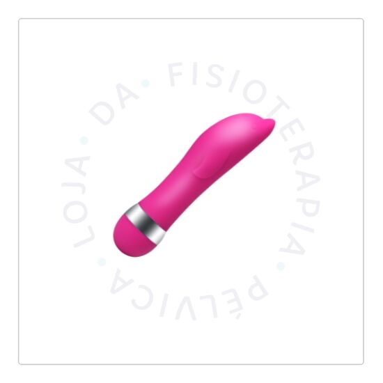 Mini vibrador golfinho