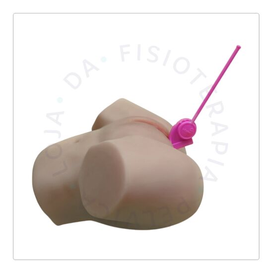 Pelvifit Trainer Confort 04 Pelvifit Trainer