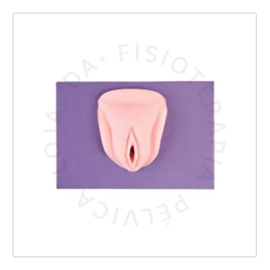 Vulva Branca