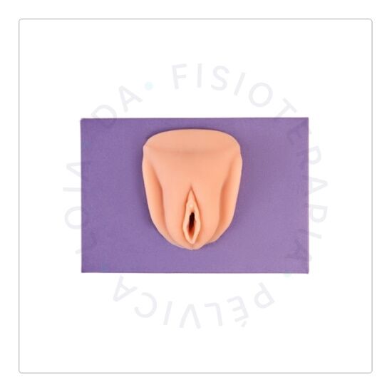 Vulva Morena 02 Vulva Morena