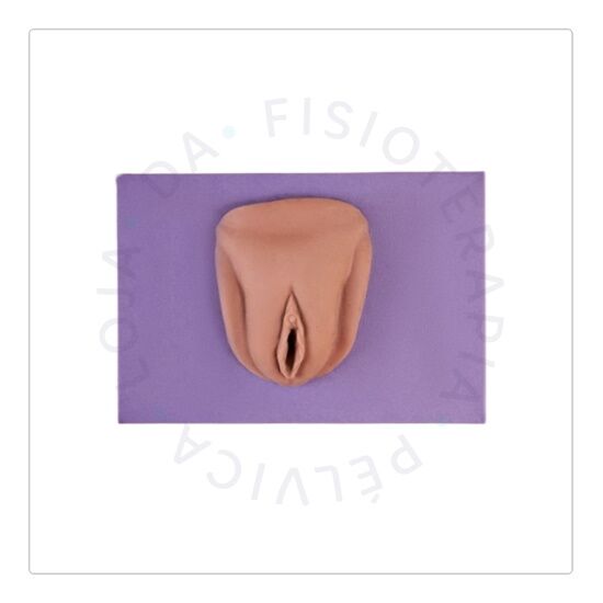 Vulva Negra 02 Vulva Negra